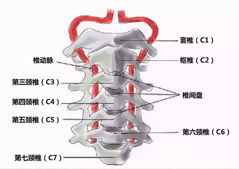 点击查看图片来源 图片