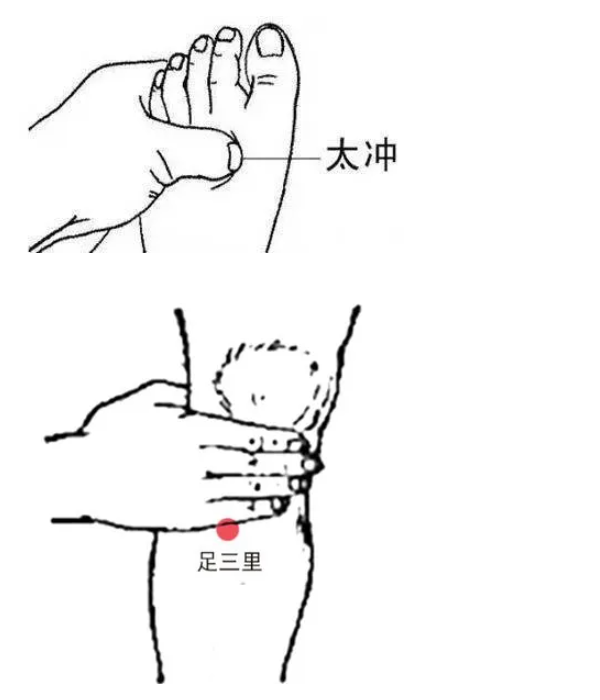 a4fe5291941e10c40d7c04ceca6f5bd6_t017ce9423b38bba8b5.jpg