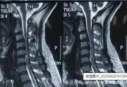 微信图片_20250629191309.jpg 微信图片_20250629191309.jpg
